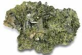 Lustrous, Epidote Crystal Cluster on Actinolite - Pakistan #257762-1